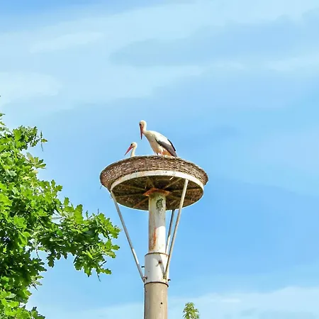 Ferienwohnung Ankershagen Apartamento Ankershagen