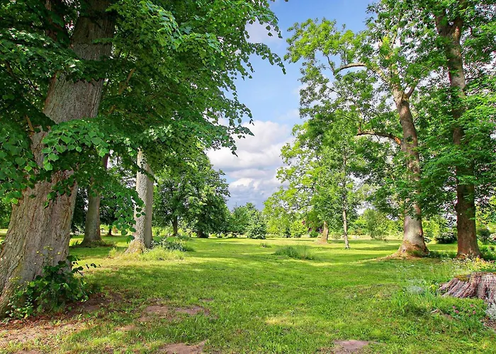 Ferienwohnung Ankershagen Ankershagen