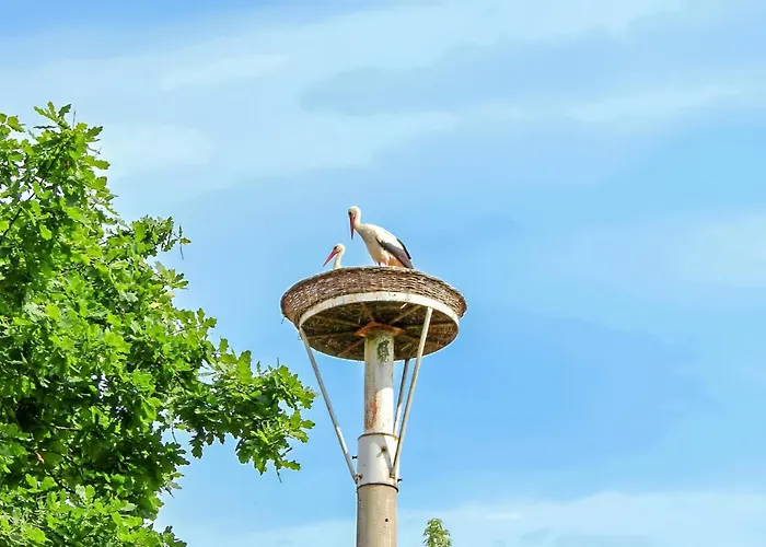 Ferienwohnung Ankershagen דירה Ankershagen